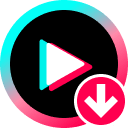 TikTok Video Downloader